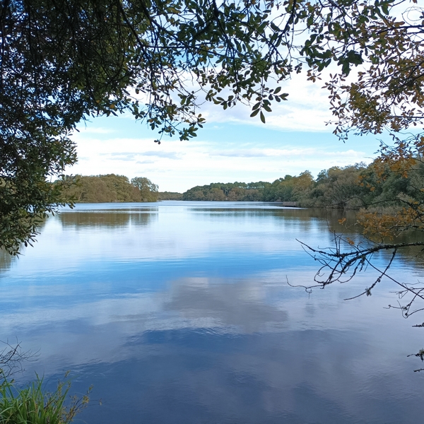 Meditation de Pleine Conscience Hossegor