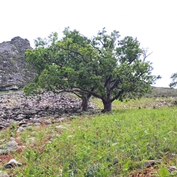 Meditation de Pleine Conscience Hossegor