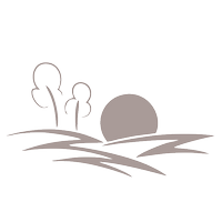 Aurelie_Lescaillet_Guiroy_Lighton_Parcours